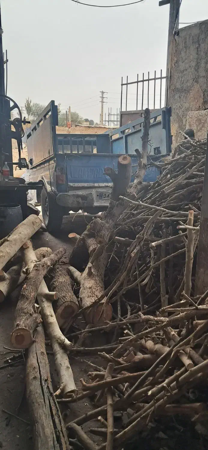 خریدار چوب|خدمات باغبانی و درختکاری|نظرآباد, شهرک سید جمال الدین|دیوار