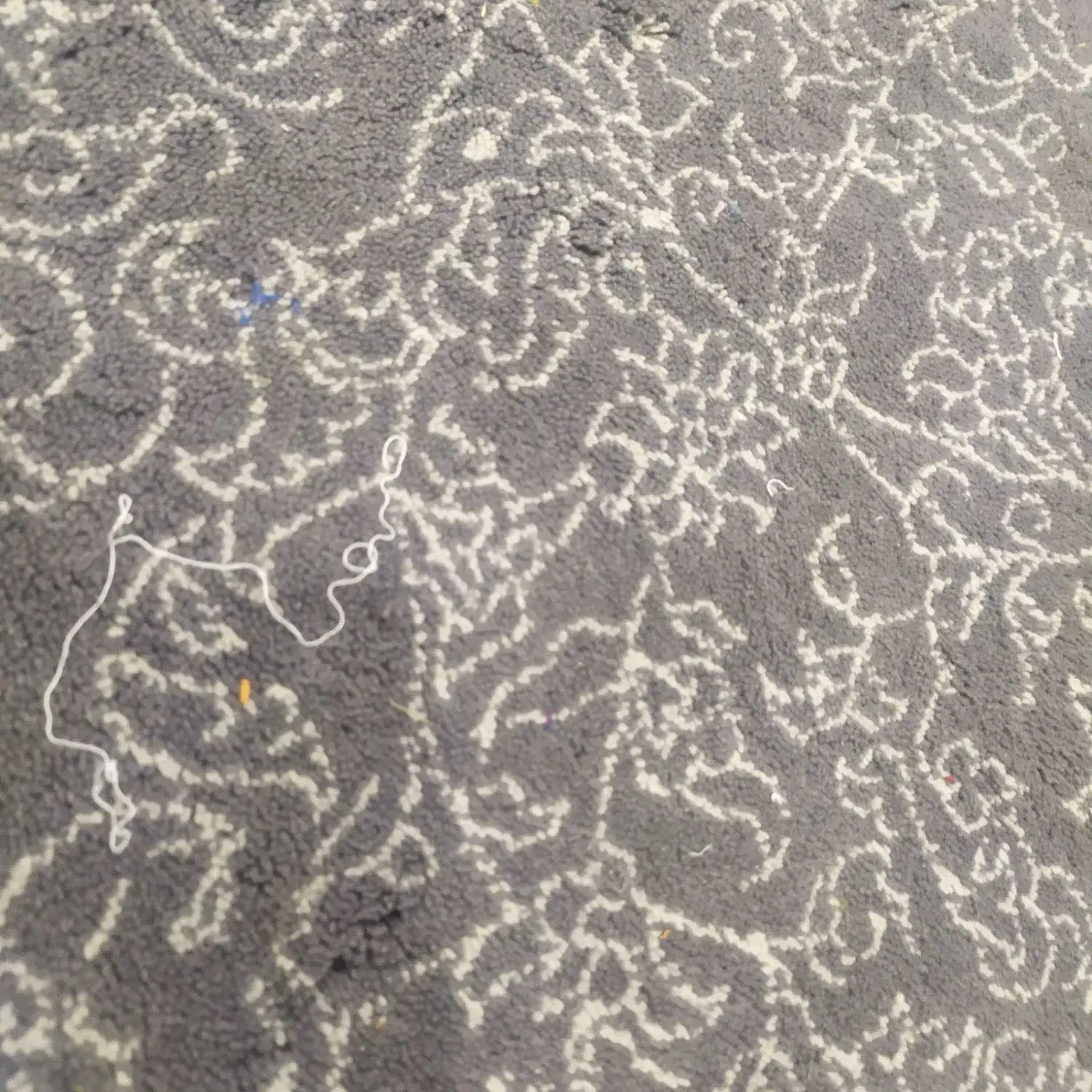 نظافت منزل انجام میدم|خدمات نظافت|میناب, |دیوار