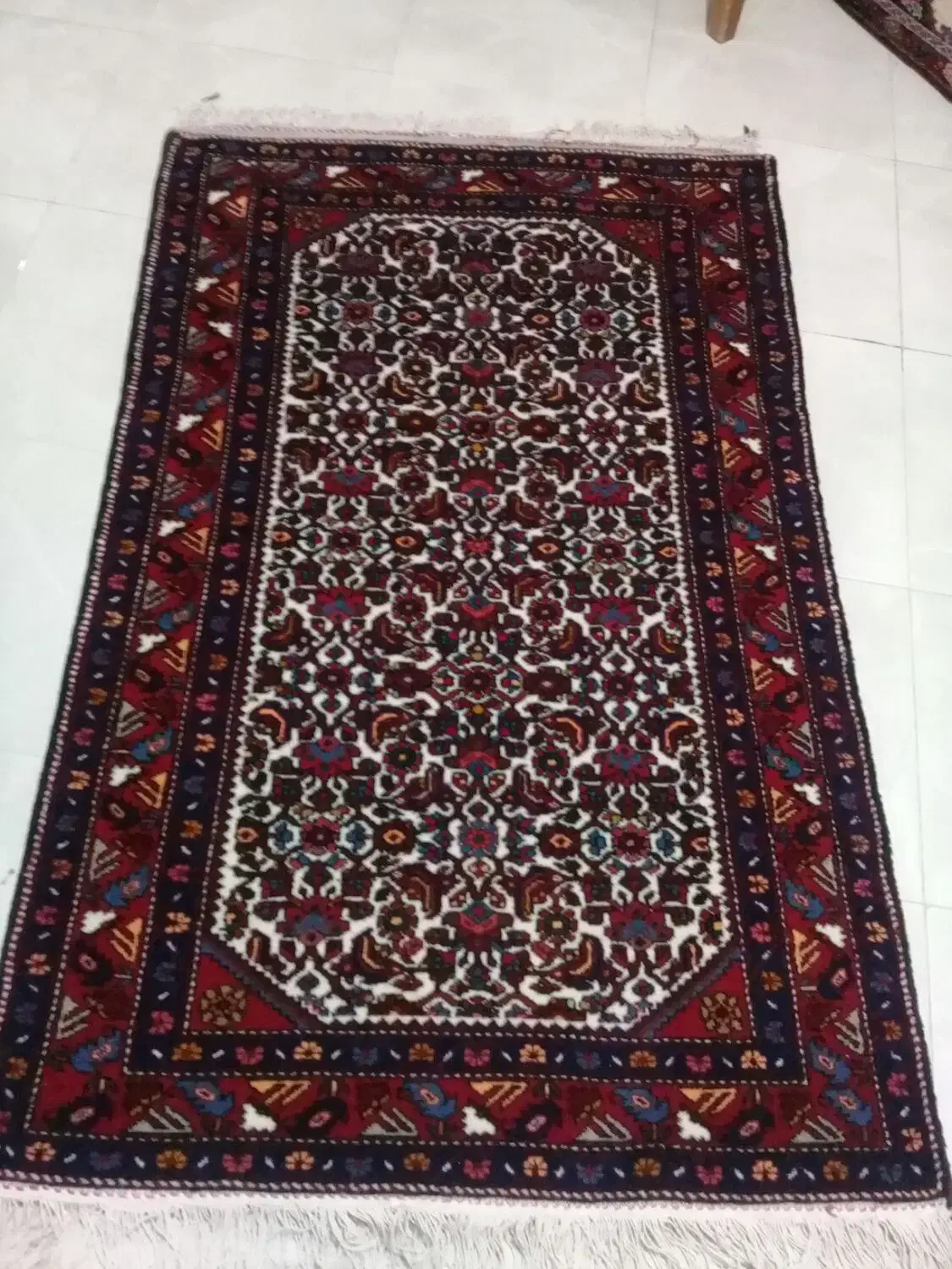 فرش دستبافت ماهی درهم|فرش|تهران, شوش (باغ آذری)|دیوار