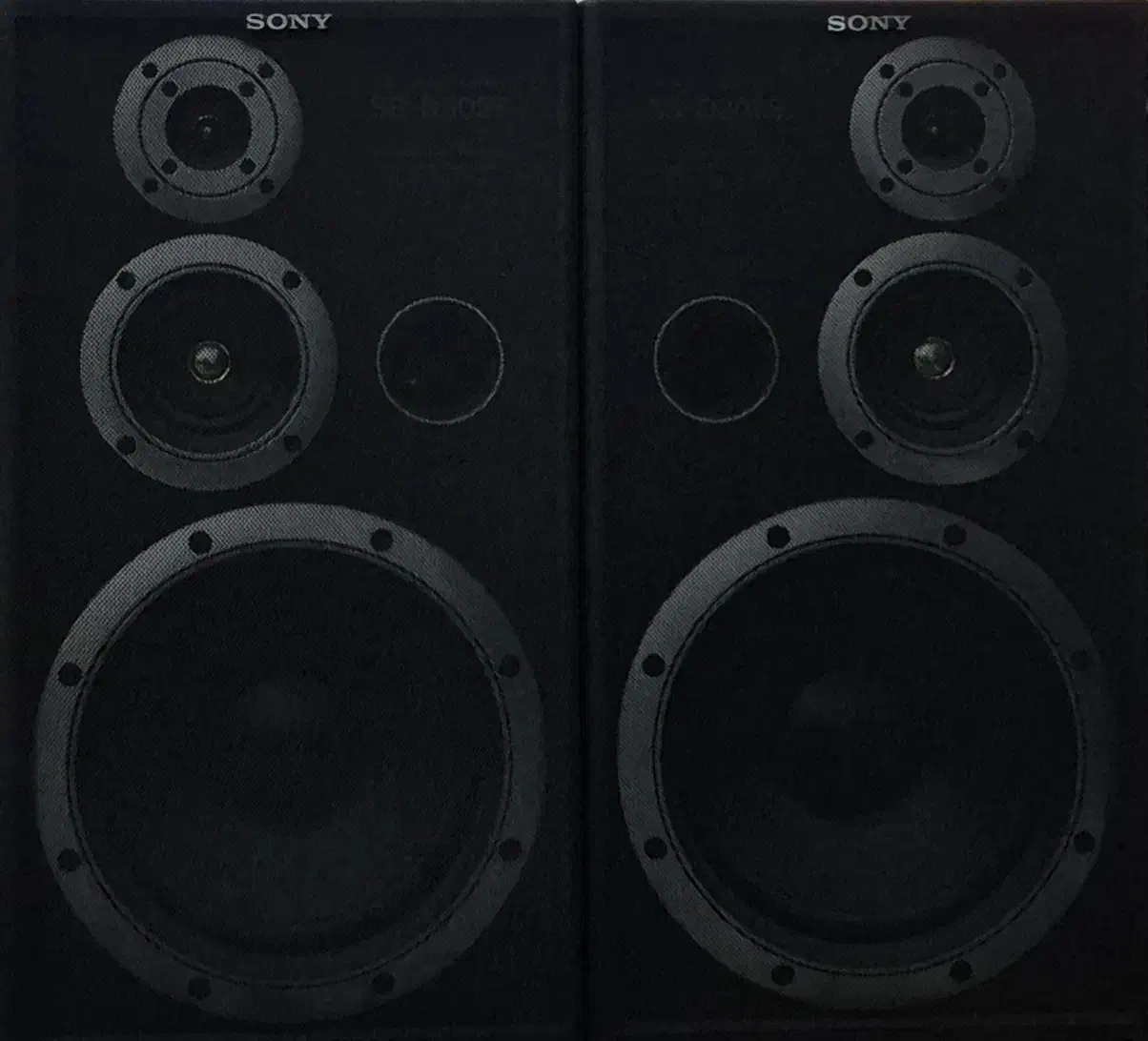 سیستم آنتیک و جذاب سونی (SS-D302S و LBT-V302)|سیستم صوتی خانگی|تهران, ایرانشهر|دیوار