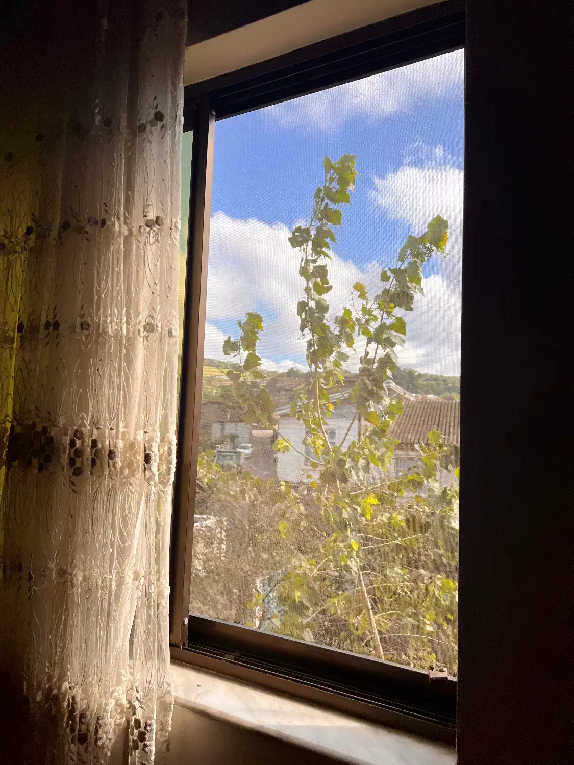 خانه تمیز و زیبا|اجارهٔ کوتاهمدت ویلا و باغ|شیرگاه, |دیوار