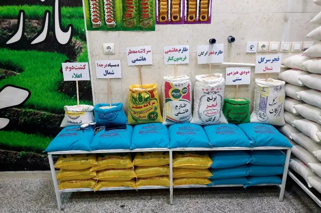 بورس انواع برنج اصیل ایرانی بشرط پخت|خوردنی و آشامیدنی|کرمانشاه, |دیوار