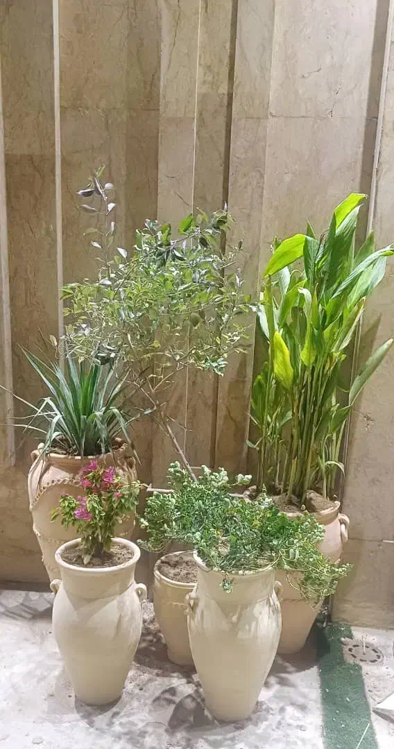 انجام کلیه کارهای باغبانی وباغچه|خدمات باغبانی و درختکاری|اهواز, بهارستان|دیوار