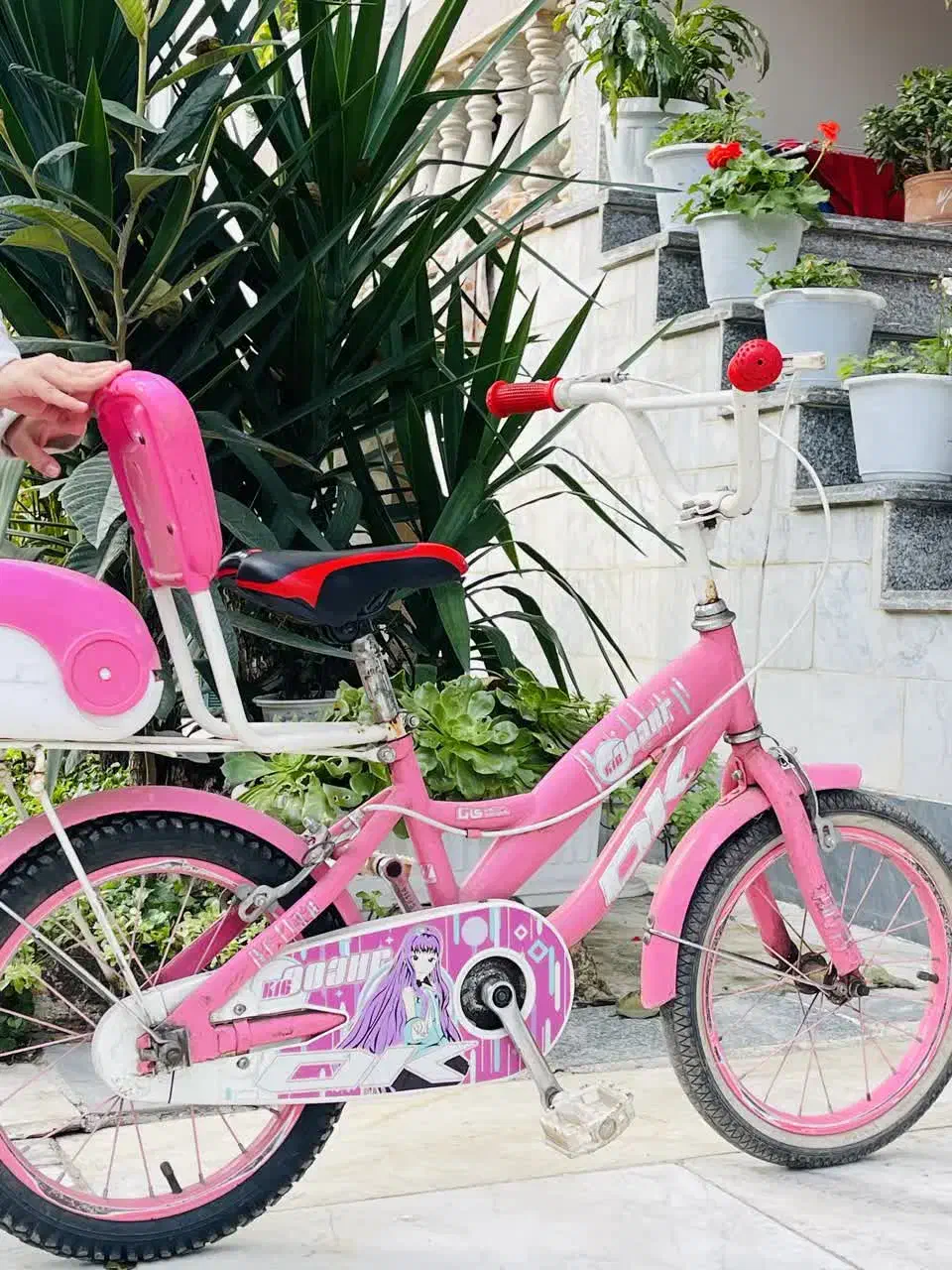 فروش ۲ عدد دوچرخه|دوچرخه، اسکیت، اسکوتر|چوبر, |دیوار