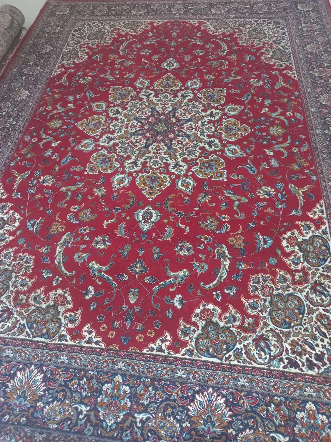 فرش ماشینی درحد نو|فرش|قیدار, |دیوار