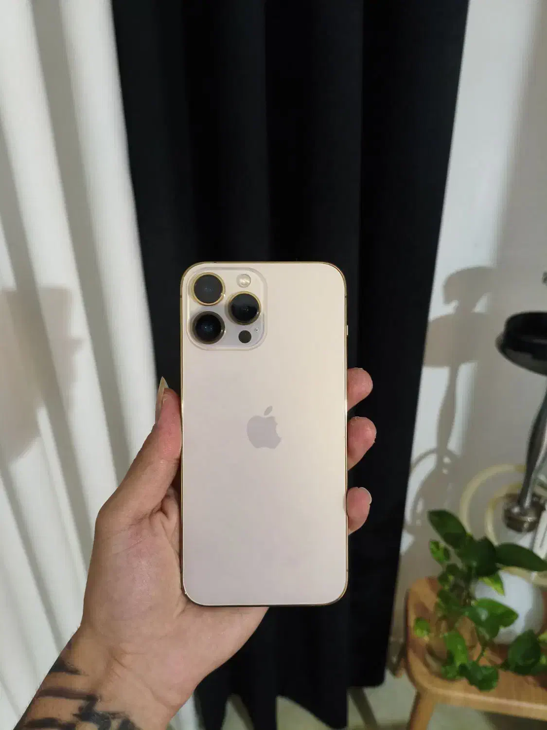 آیفون 13 پرومکس|موبایل|بابلسر, |دیوار