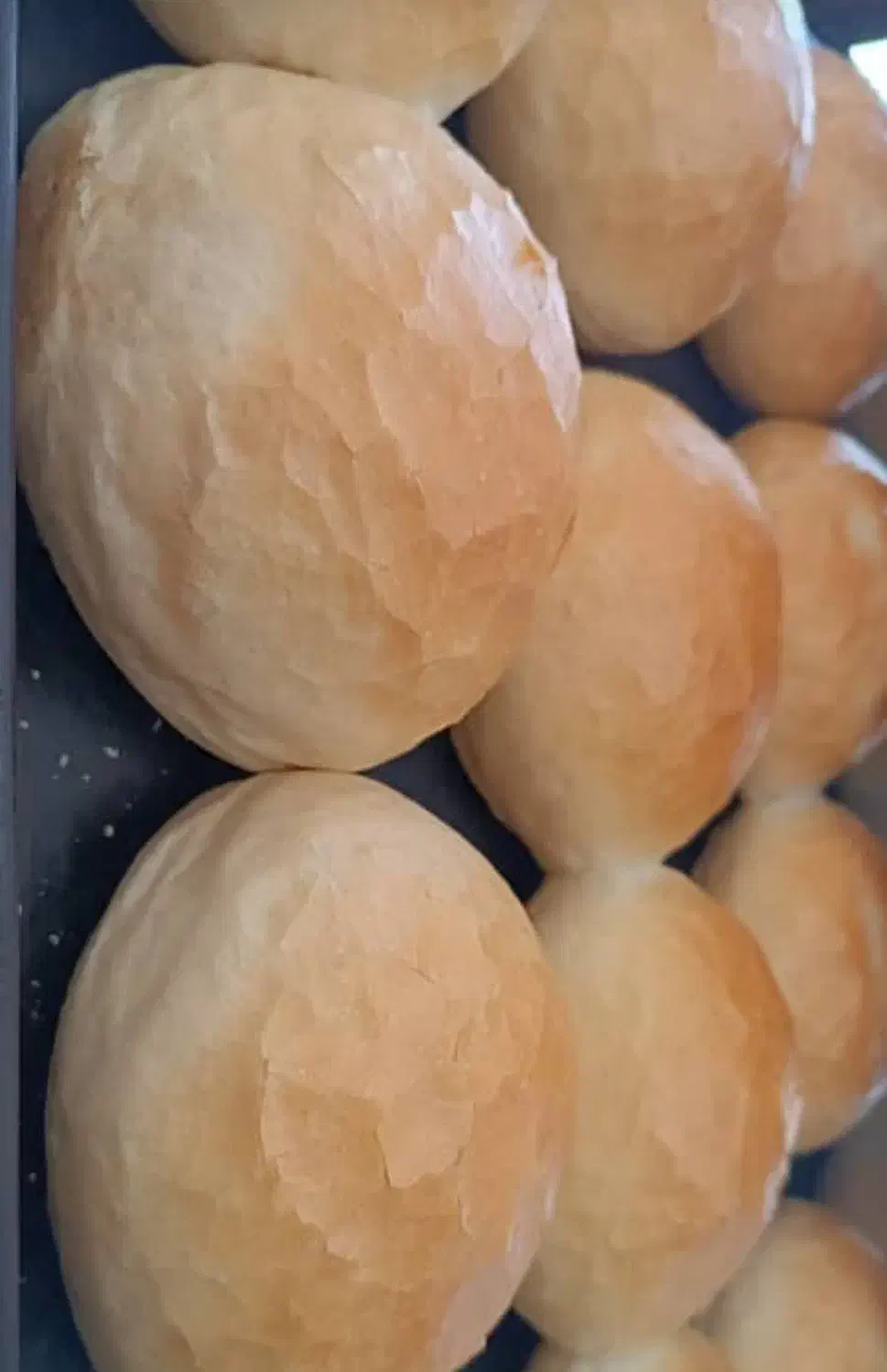 شاطر و وردست نان فانتزی|استخدام خدمات فروشگاه و رستوران|بند زرک, |دیوار