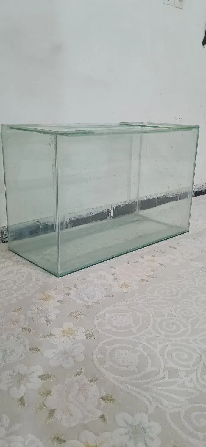 آکواریوم|ماهی|خرم‌آباد, |دیوار