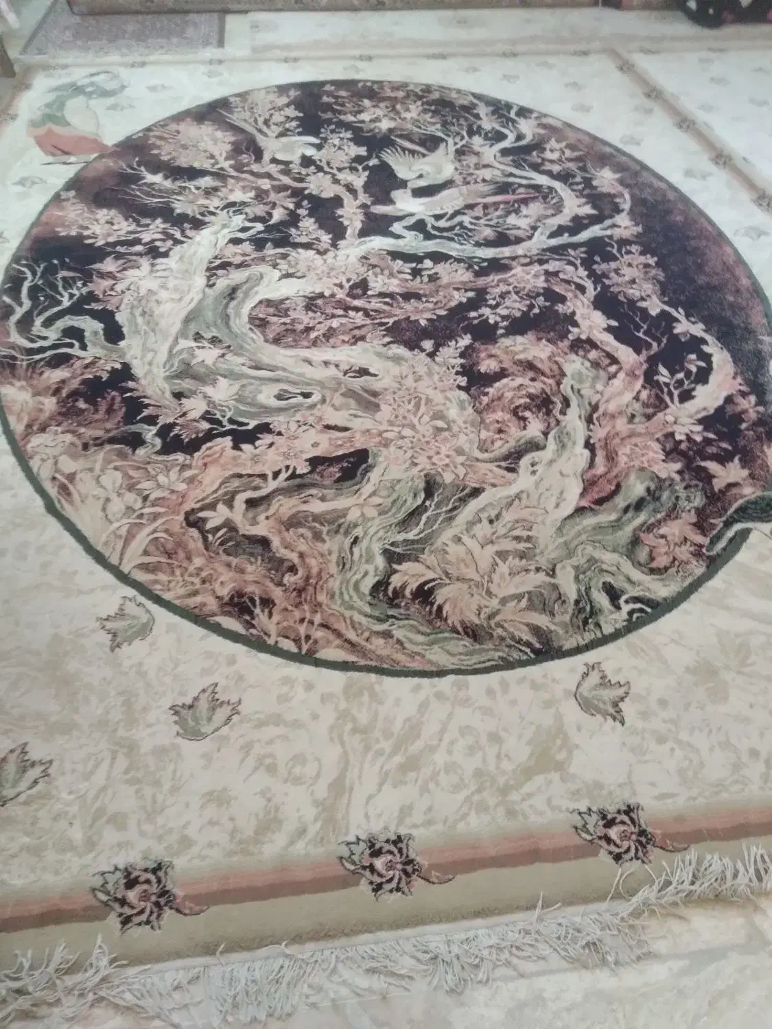 فرش ۱۲متری ۱۲۰۰شانه|فرش|کازرون, |دیوار