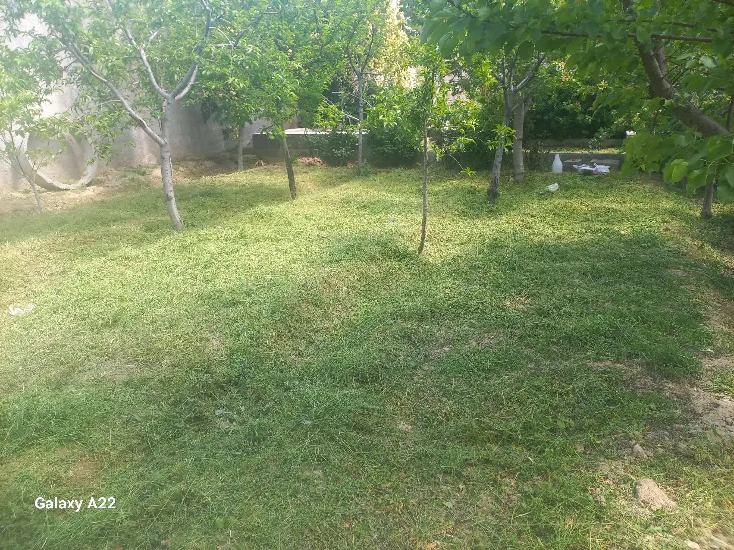 کلیه امور باغبانی هرس.علفزنی.سم پاشی کاشت نهال|خدمات باغبانی و درختکاری|هشتگرد, شهرک ولیعصر (مصلی)|دیوار