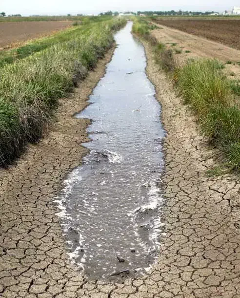 آب عمیق|خدمات باغبانی و درختکاری|صفادشت, |دیوار
