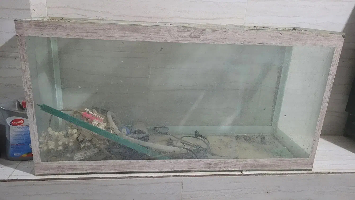 آکواریم|ماهی|لنگرود, |دیوار