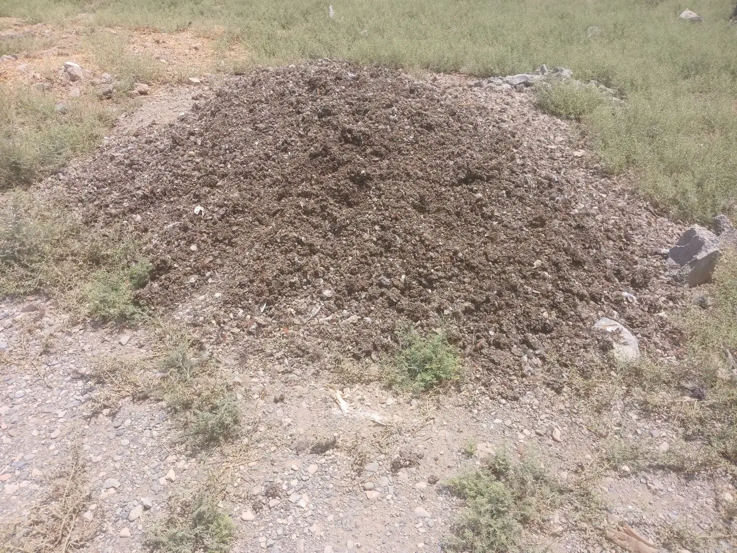 کود مرغی تمیز با کیفیت|خدمات باغبانی و درختکاری|تهران, مسعودیه|دیوار