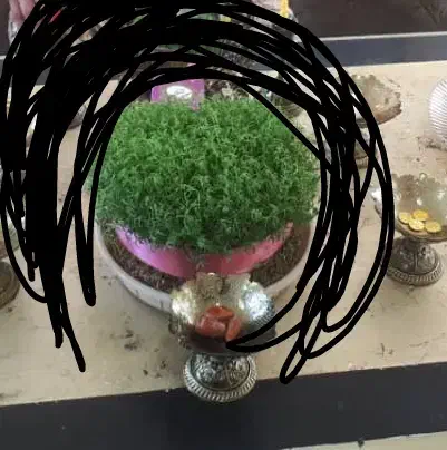 سمنو|حراج|مریوان, |دیوار