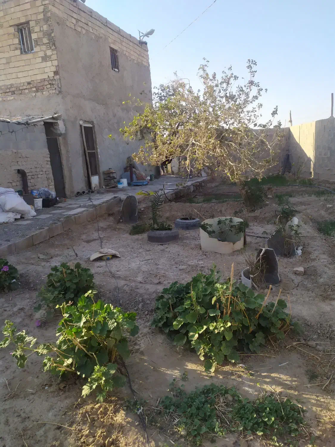 خونه باغ|فروش خانه و ویلا|زابل, |دیوار