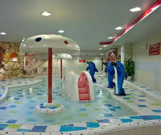 کارت استخر ۱۰ جلسه ای استخر دلفین|بلیت ورزشی|تبریز, |دیوار