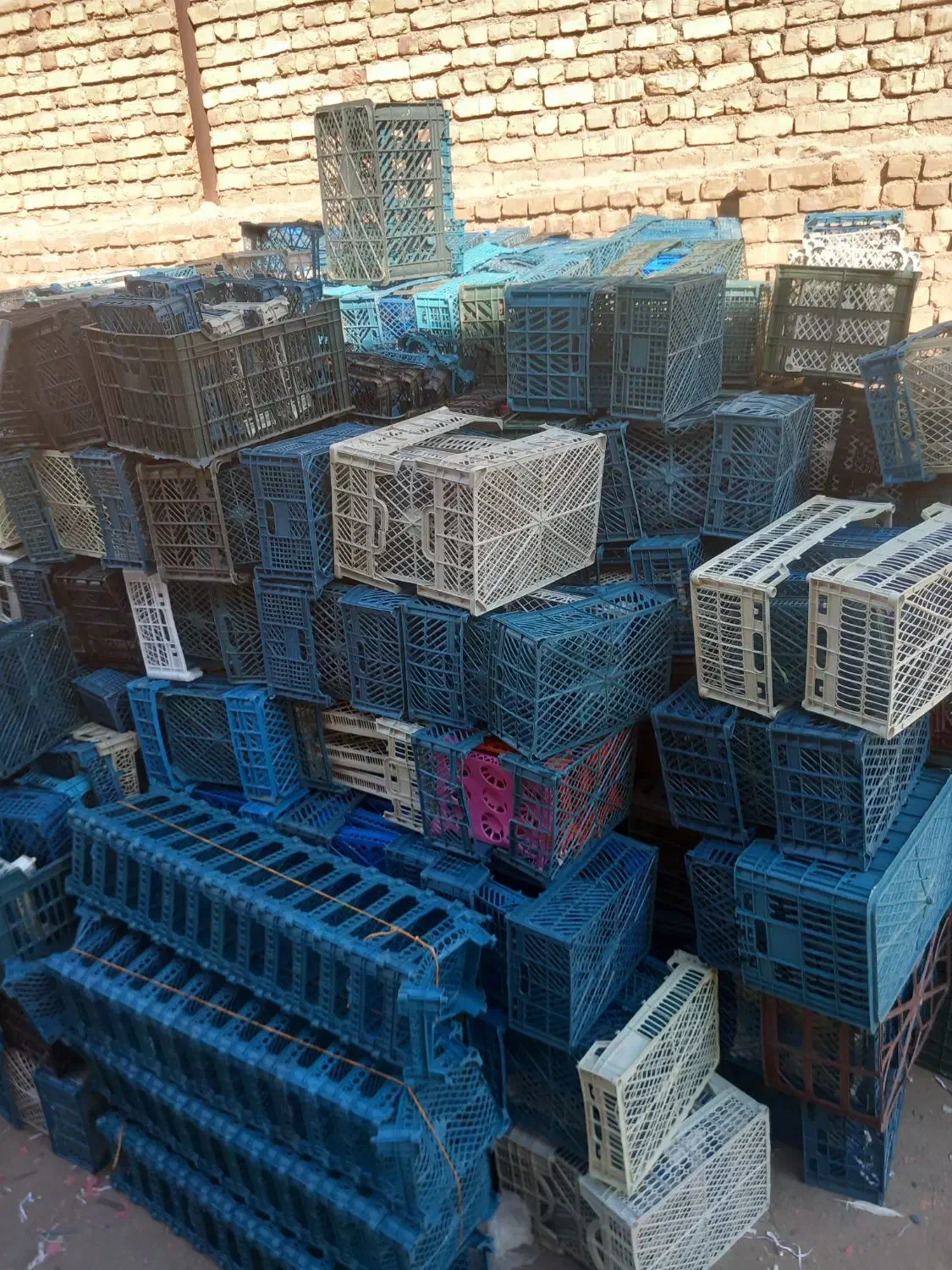 سبد کارتن موزی|ظروف نگهدارنده، پلاستیکی، یکبارمصرف|کاشان, دشت لتحر|دیوار