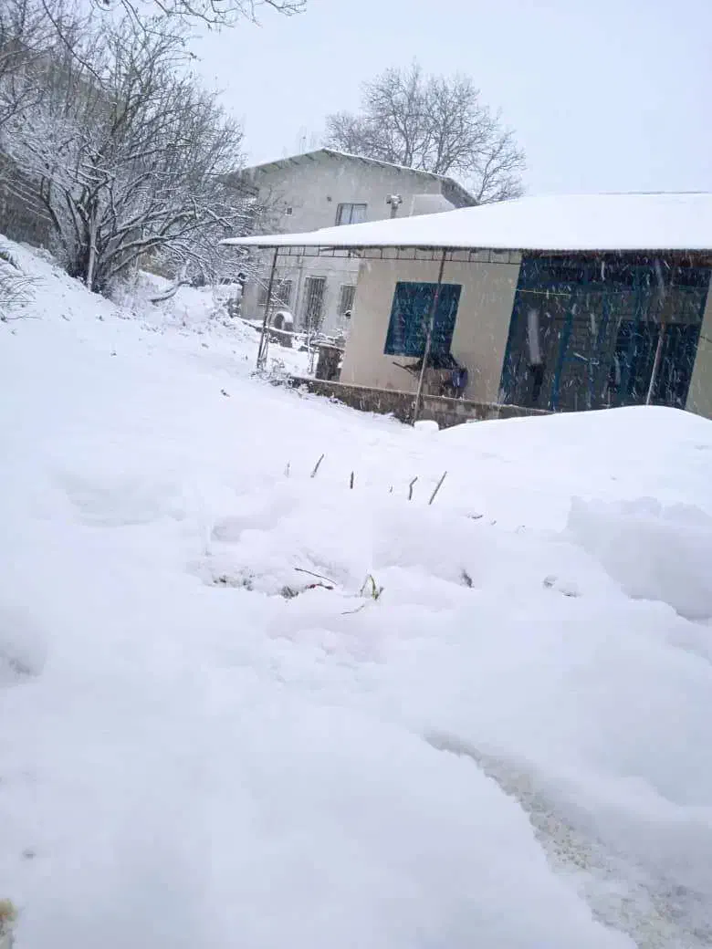 ویلا ییلاقی بازسازی شده منطقه جنگلی خوشآبوهوا|فروش خانه و ویلا|فریم, |دیوار