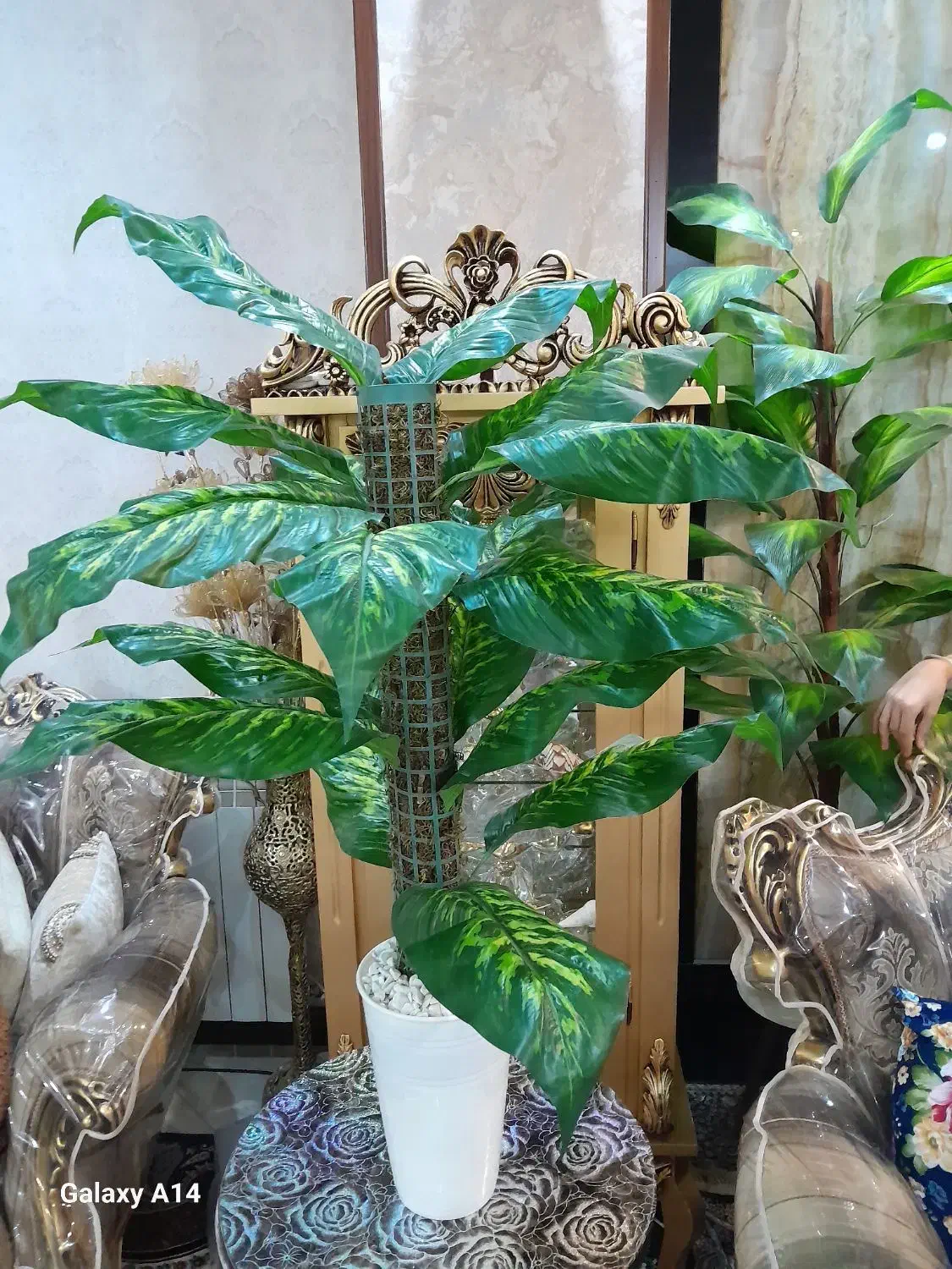 گل دیفن باخیا مصنوعی|گل مصنوعی|تهران, شهرک طالقانی|دیوار