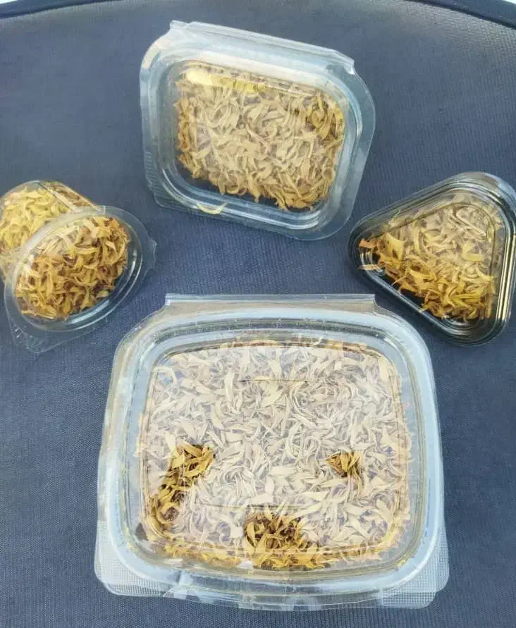 بهار نارنج خالص صادراتی|گل و گیاه طبیعی|نورآباد ممسنی, |دیوار