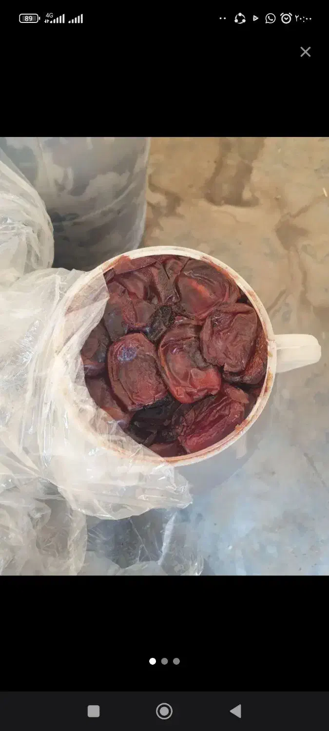 یک  خرما افغانی|خوردنی و آشامیدنی|ایرانشهر, |دیوار