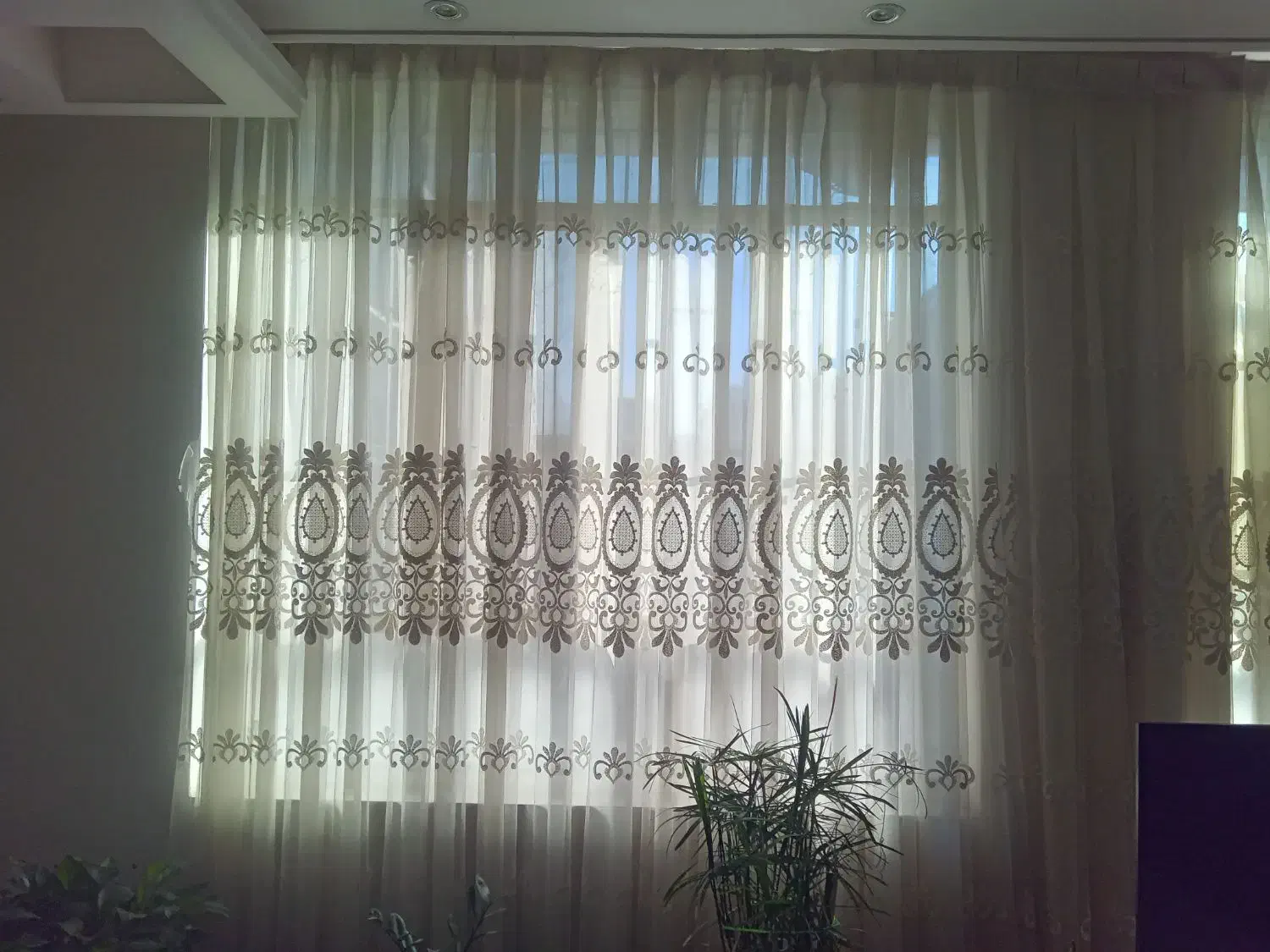 پرنده پذیرایی|پرده، رانر، رومیزی|دورود, |دیوار