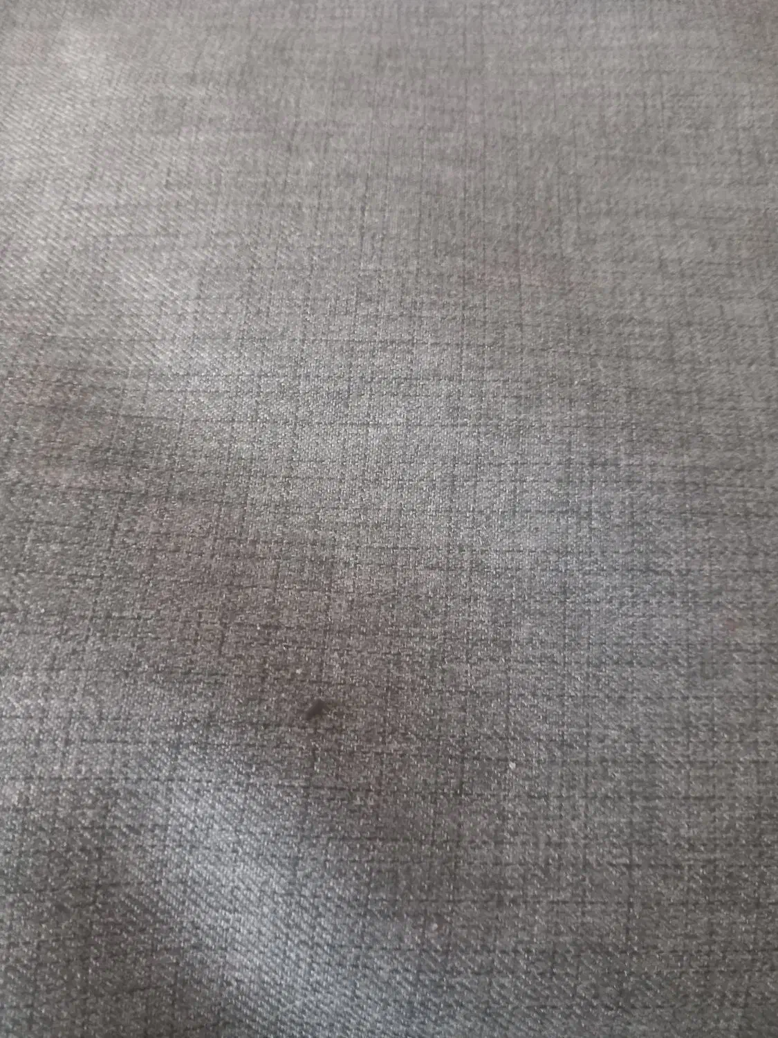 پارچه کت وشلوار|لباس|اصفهان, شاهد|دیوار