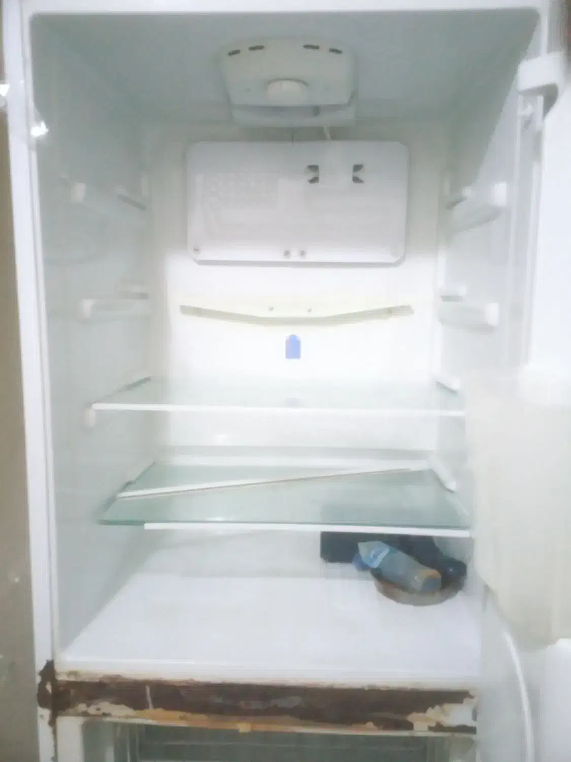 یخجال۲۲ فوت سوزان|یخچال و فریزر|سهند, |دیوار