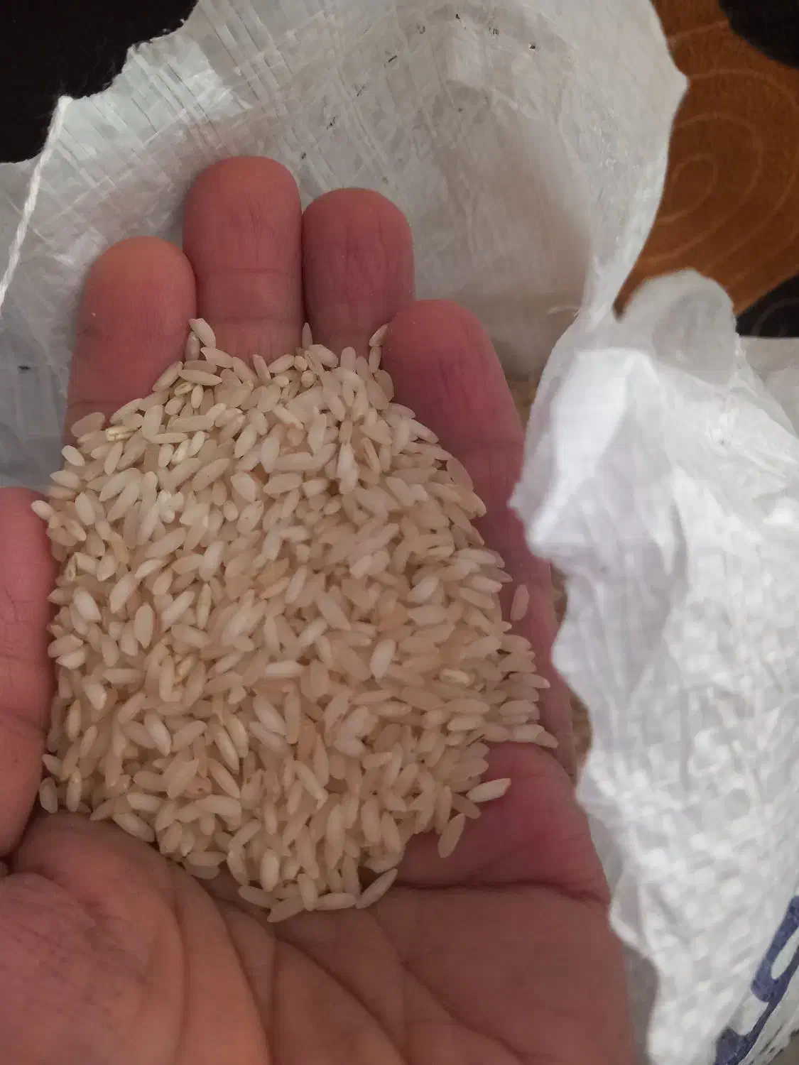 برنج عنبر بو|خوردنی و آشامیدنی|شیراز, شیخ علی چوپان|دیوار