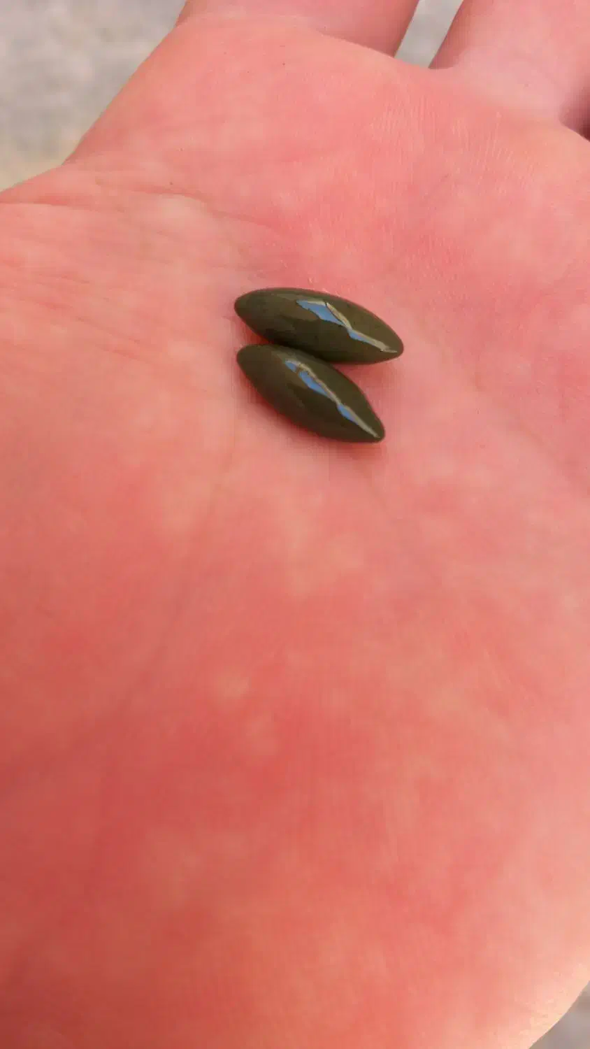 ماکت سنگ اصلی ب شرط تسط|کلکسیون و سرگرمی|اهواز, کیانپارس |دیوار