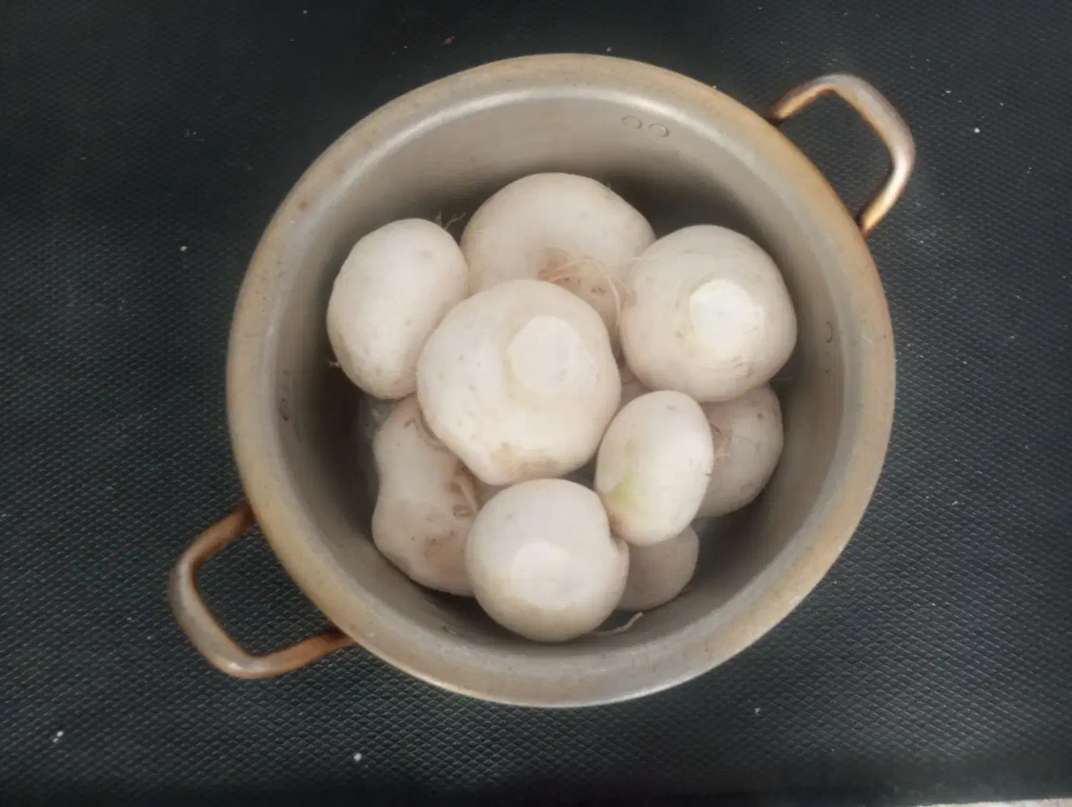 شلغم شیرین مرک|خوردنی و آشامیدنی|جلگه ماژان, |دیوار