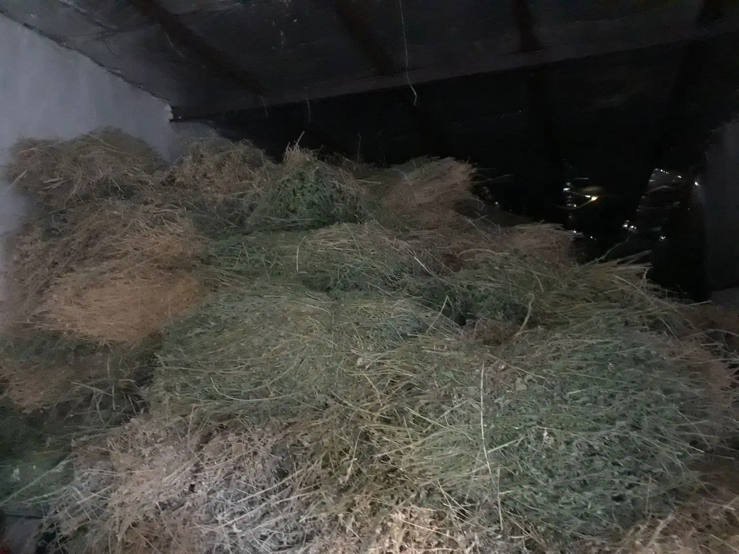 بیده|لوازم جانبی حیوانات|اسفراین, |دیوار