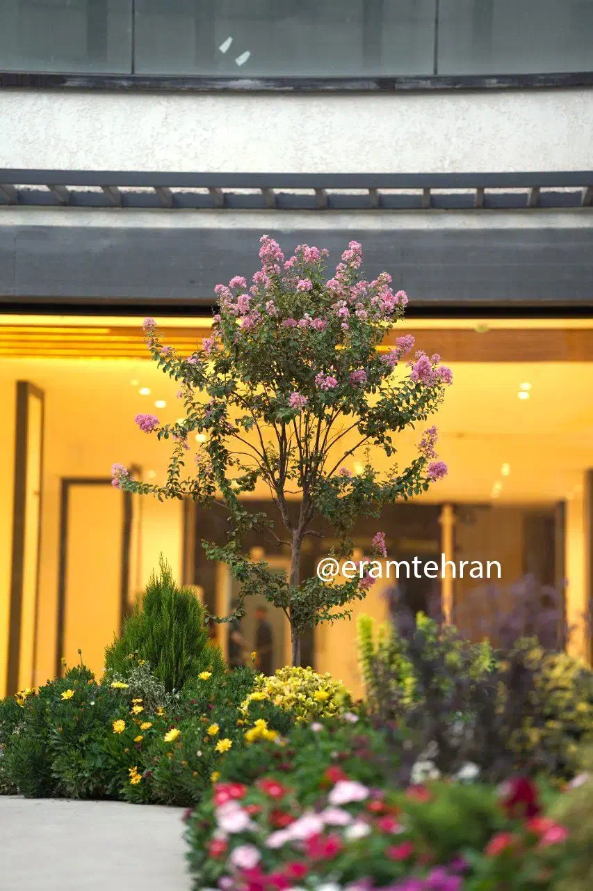 جذب نیروی باغبان|خدمات باغبانی و درختکاری|تهران, ستارخان|دیوار