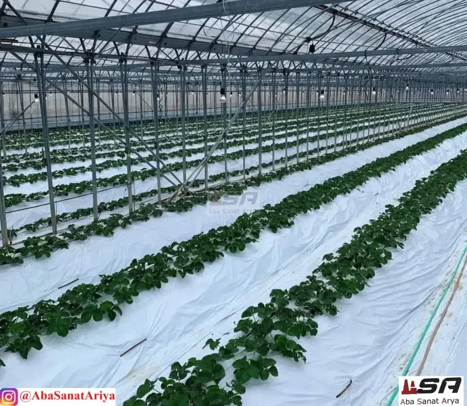 گلخانه سازی|خدمات پیشه و مهارت|تهران, شهرک صادقیه|دیوار