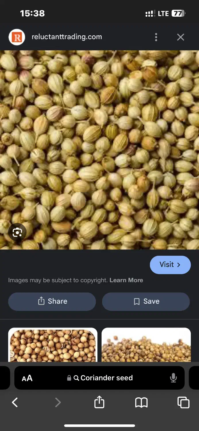 گشنیز|عمده‌فروشی|کنگاور, |دیوار