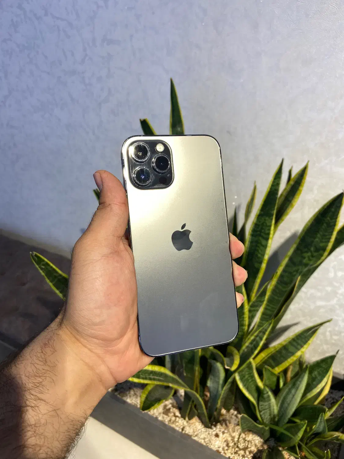 اپل ایفون ۱۲ پرومکس ۲۵۶ za اقساط بدون پیش پرداخت|موبایل|اصفهان, مفتح|دیوار