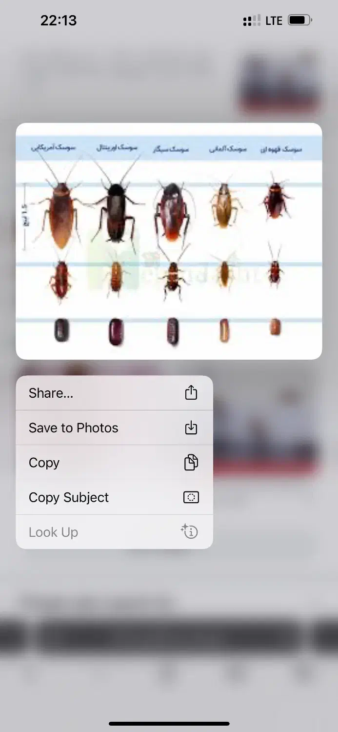 سم پاشی ساس سوسک موش (سمپاشی با ضمانت کتبی)|خدمات نظافت|تهران, افسریه جنوبی|دیوار