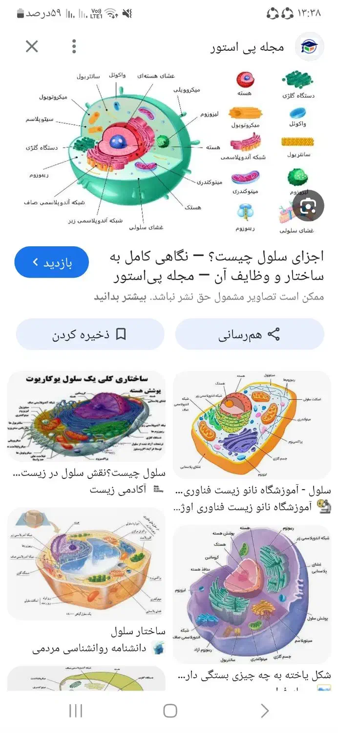 آموزش زیست و زبان انگلیسی|خدمات آموزشی|کاشان, فاز ۲ ناجی آباد|دیوار