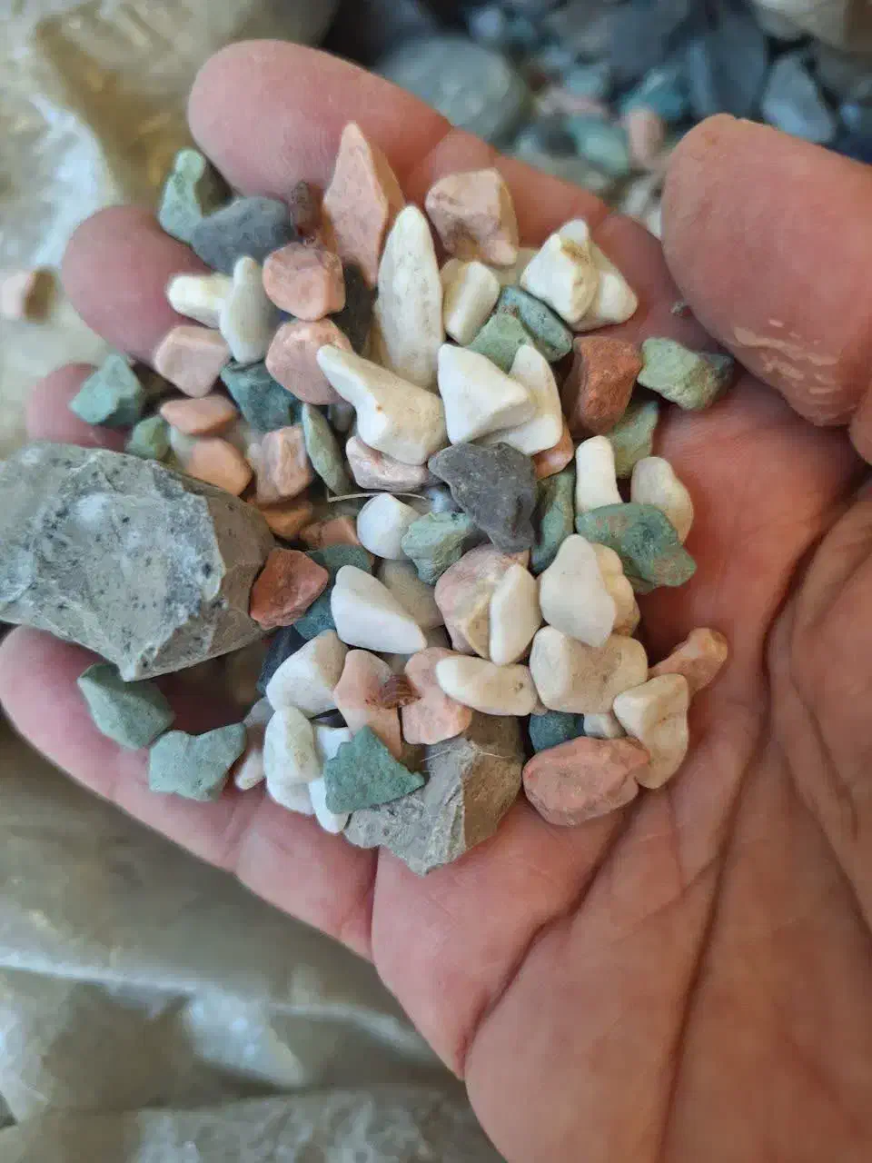 آکواریوم شیشه خم|ماهی|کرمانشاه, |دیوار