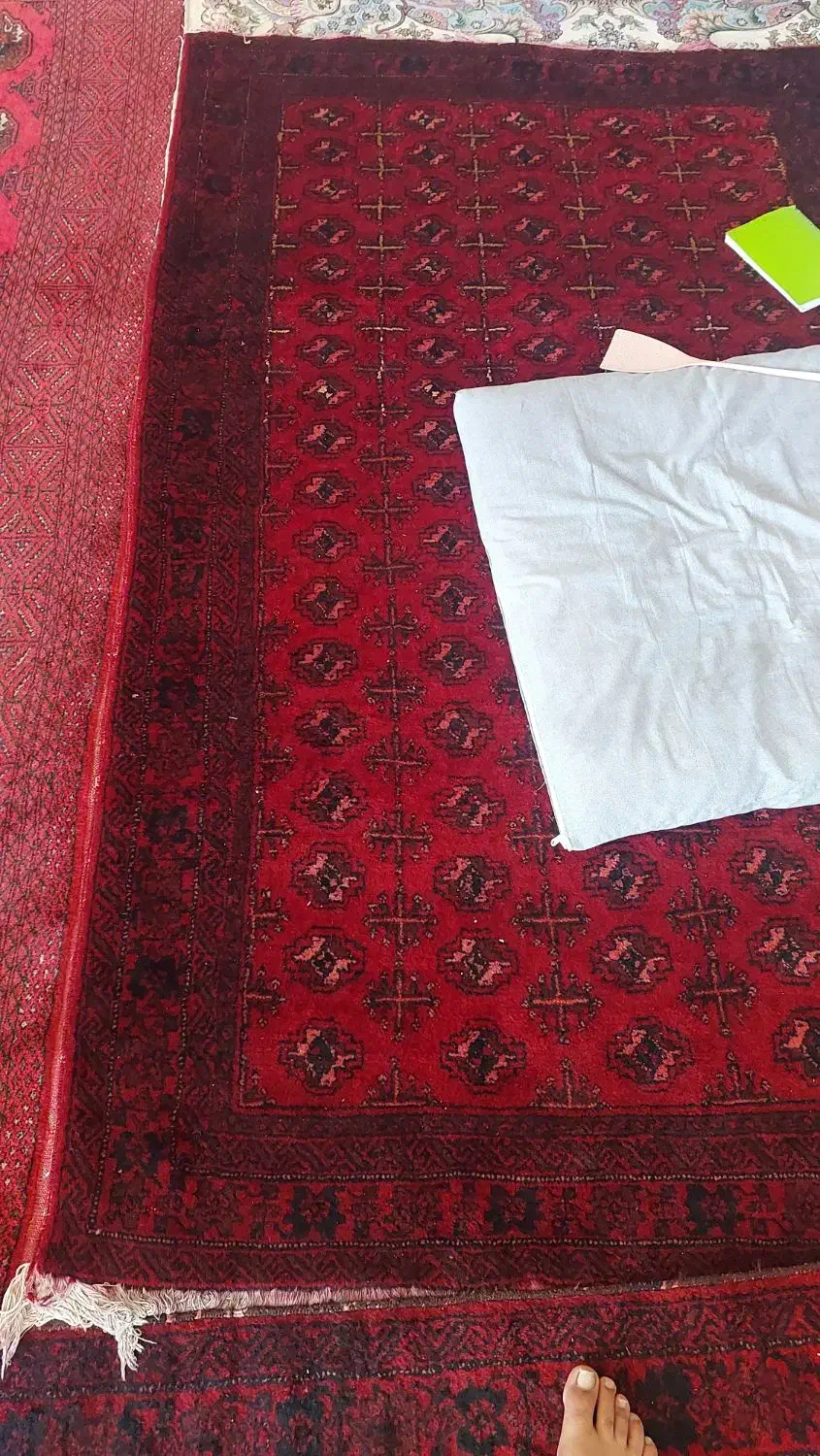 فروش فرش دست بافت پشم|فرش|رضویه, |دیوار