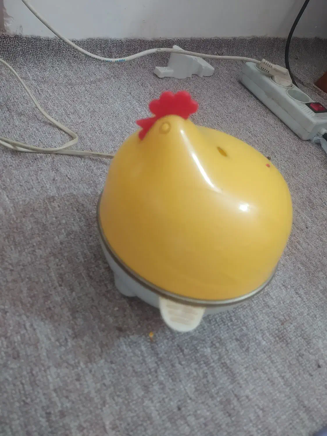 تخم مرغ آب پز کن|سایر لوازم برقی|گنبد کاووس, |دیوار