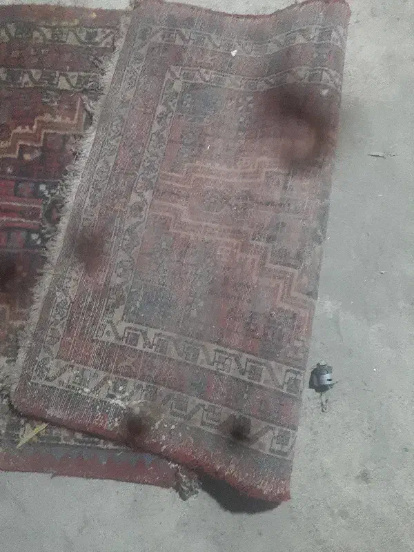 قالیچه دستبافت|فرش|ری, امین آباد|دیوار