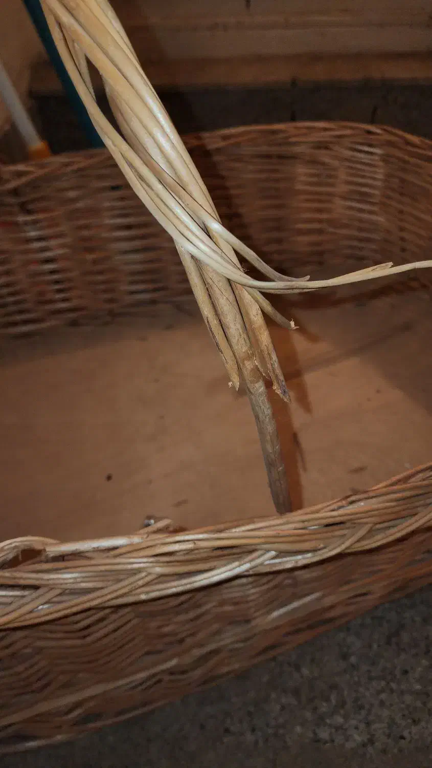 سبد حصیری  و زیلو حصیری گرد|صنایع دستی و سایر لوازم تزئینی|نیشابور, مازول|دیوار