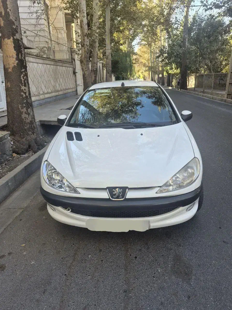 پژو 206SD مدل 1393|خودرو سواری و وانت|کرج, ساسانی (قلمستان)|دیوار