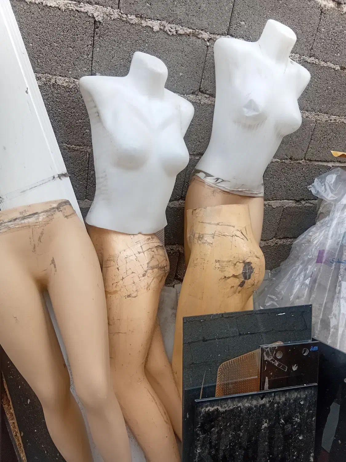 لوازم جانبی|فروشگاه و مغازه|رشت, کوی فکوری|دیوار