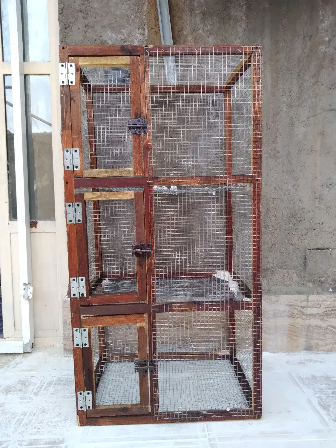 جفت کن کبوتر|لوازم جانبی حیوانات|سیرجان, |دیوار