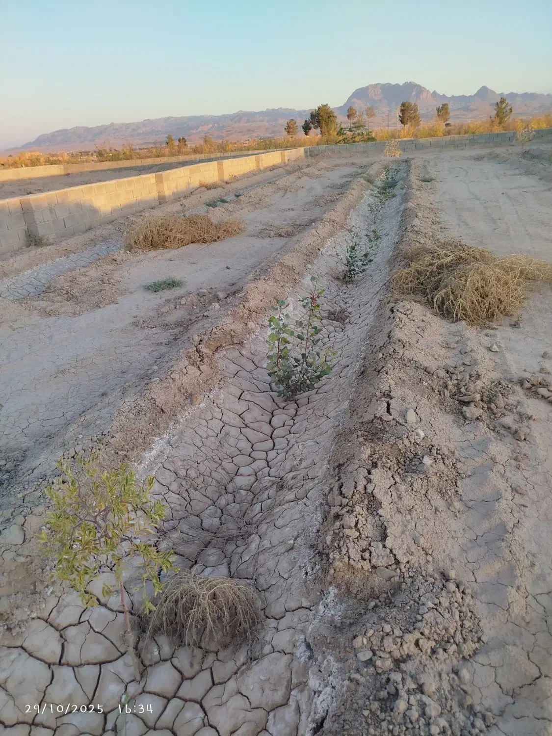 باغ فروشی تقاب|فروش خانه و ویلا|خوسف, |دیوار