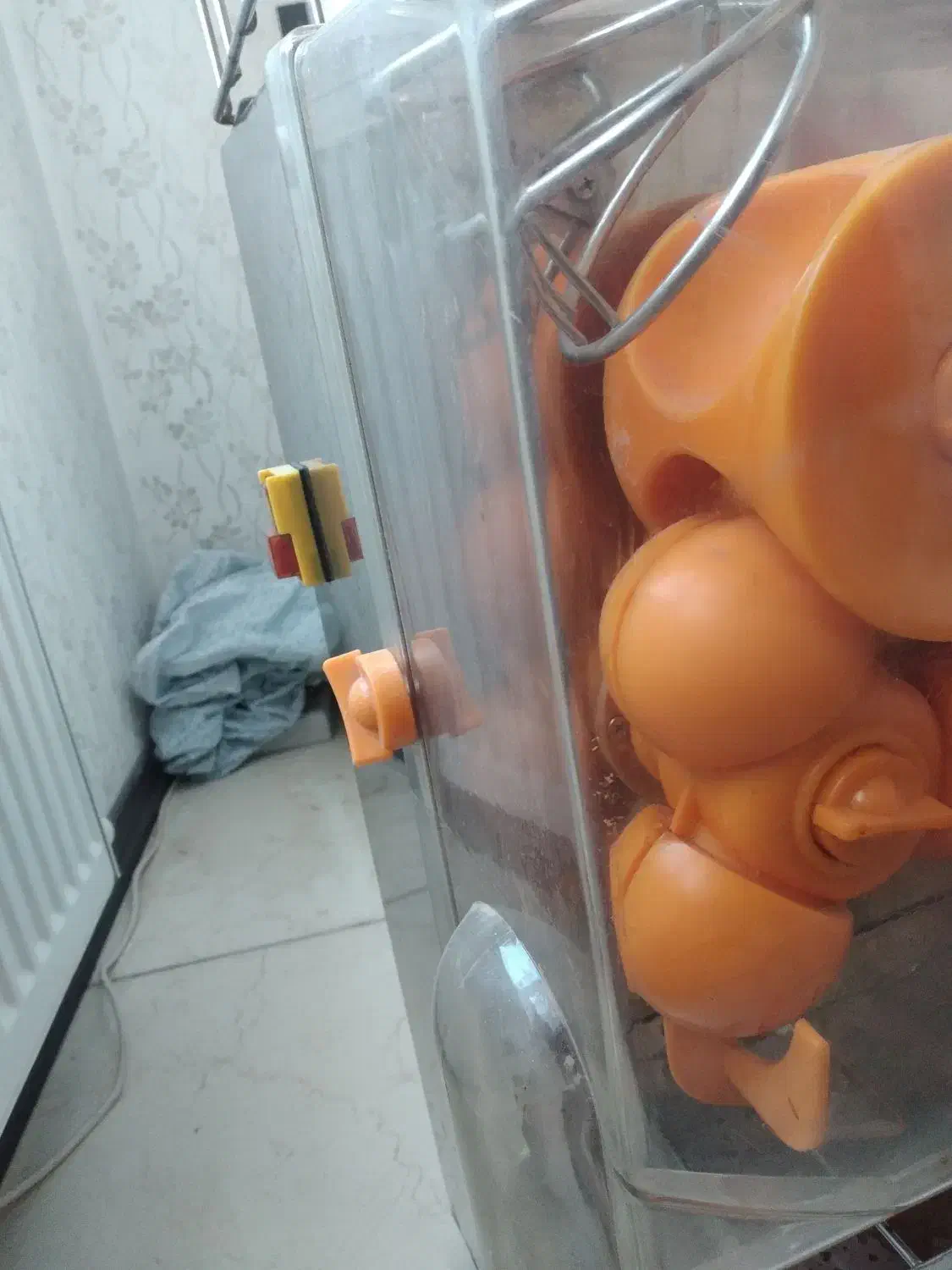 آب پرتقال گیر|آبمیوه‌گیر و آب‌مرکبات‌گیر|هشتگرد, شهرک دانش|دیوار