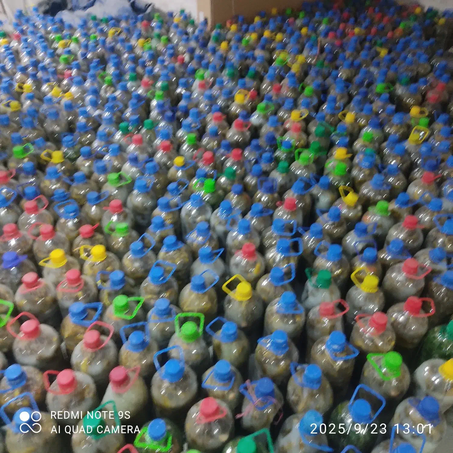 خیارشور|خوردنی و آشامیدنی|رباطکریم, رباطکریم|دیوار