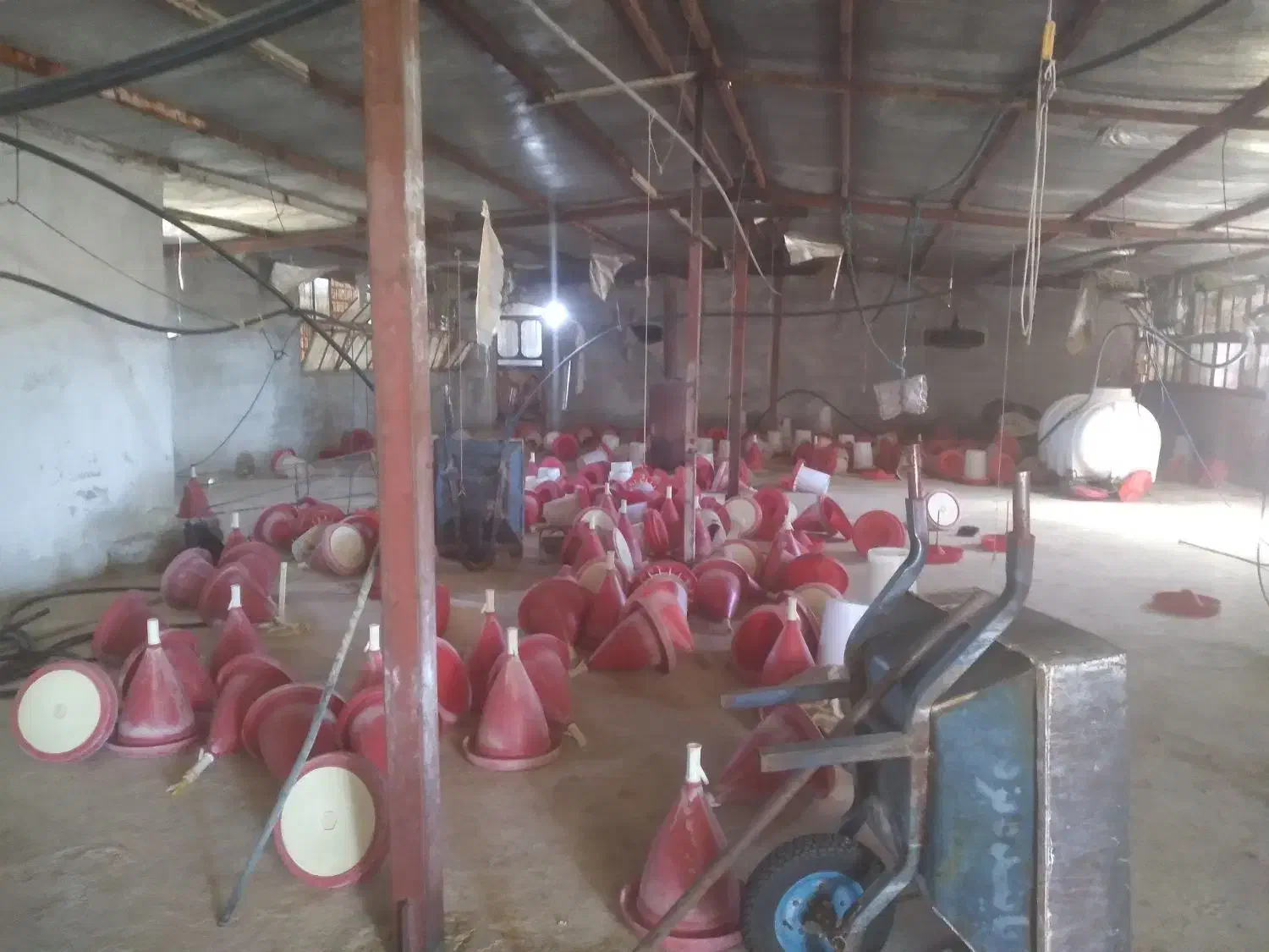 مرغداری ۱۰هزار قطعه ای گوشتی|فروش دفتر صنعتی، کشاورزی، تجاری|فسا, |دیوار